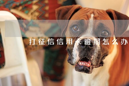 打征信信用卡逾期怎么办