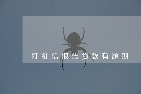 打征信报告贷款有逾期 打征信报告贷款有逾期