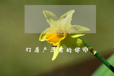 打房产厉害的律师 打房产厉害的律师