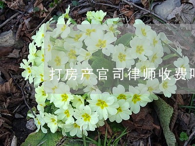 打房产官司律师收费吗 打房产官司律师收费吗