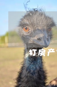 打房产官司找律师二审 打房产官司找律师二审