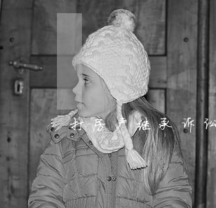 打房产继承诉讼律师 打房产继承诉讼律师