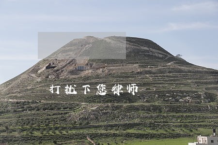 打扰下您律师 打扰下您律师
