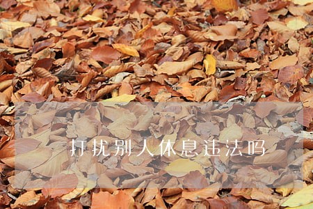 打扰别人休息违法吗