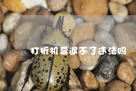 打折机票退不了违法吗 打折机票退不了违法吗