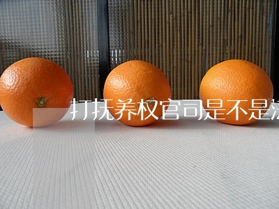 打抚养权官司是不是法院先调解 打抚养权官司是不是法院先调解