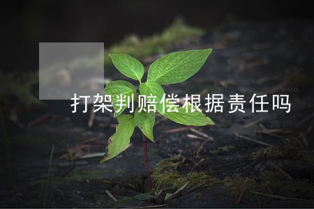 打架判赔偿根据责任吗