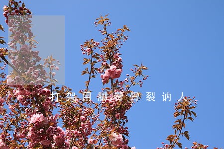 打架用脚骨骨裂讷人 打架用脚骨骨裂讷人