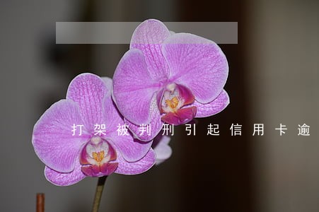 打架被判刑引起信用卡逾期
