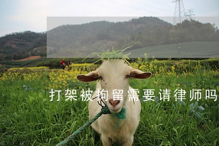 打架被拘留需要请律师吗 打架被拘留需要请律师吗