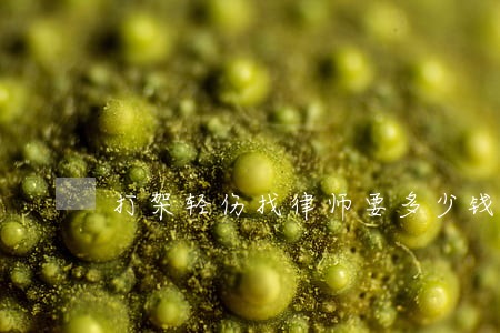 打架轻伤找律师要多少钱 打架轻伤找律师要多少钱