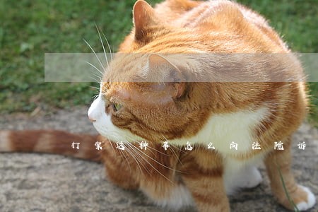 打架这种事怎么向法院诉讼 打架这种事怎么向法院诉讼