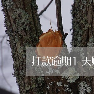 打款逾期1天赔偿多少