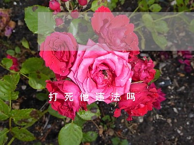 打死他违法吗 打死他违法吗