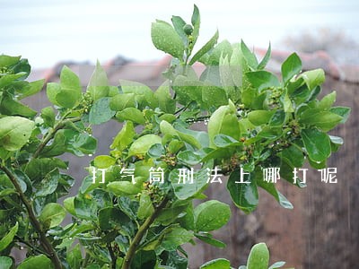 打气筒刑法上哪打呢 打气筒刑法上哪打呢