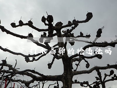 打水晶弹的枪违法吗 打水晶弹的枪违法吗
