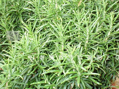 打电话我贷款逾期2000 打电话我贷款逾期2000