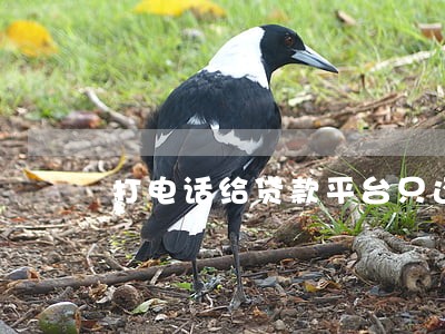 打电话给贷款平台只还本金 打电话给贷款平台只还本金
