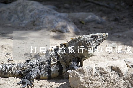 打电话给银行可以申请逾期 打电话给银行可以申请逾期