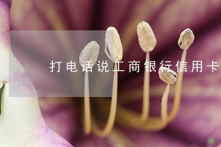 打电话说工商银行信用卡逾期 打电话说工商银行信用卡逾期