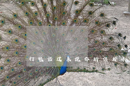 打电话过来说你的信用卡逾期 打电话过来说你的信用卡逾期