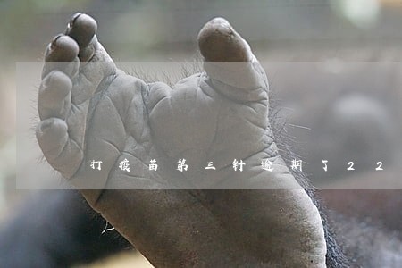 打疫苗第三针逾期了22天