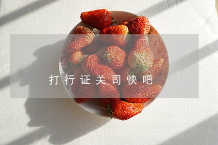 打行证关司快吧 打行证关司快吧