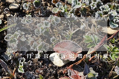打赢官司诉讼费何时退