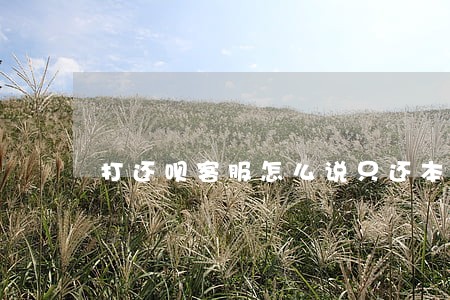 打还呗客服怎么说只还本金 打还呗客服怎么说只还本金
