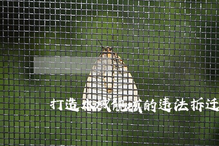 打造水域靓城的违法拆迁 打造水域靓城的违法拆迁