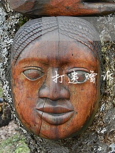 打遗赠诉讼的视频 打遗赠诉讼的视频
