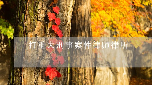打重大刑事案件律师律所 打重大刑事案件律师律所