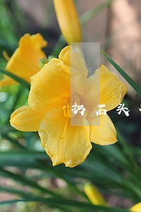 扔石头砸人违法吗 扔石头砸人违法吗