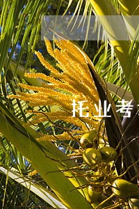 托业考试作弊违法吗 托业考试作弊违法吗