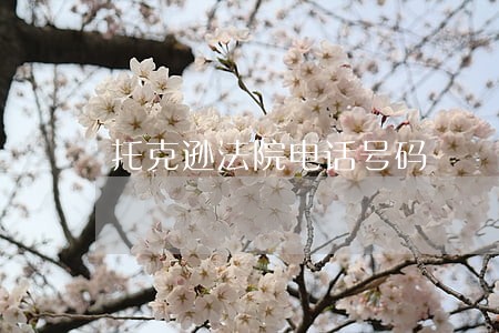 托克逊法院电话号码