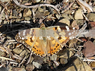 托县法院付庆生 托县法院付庆生