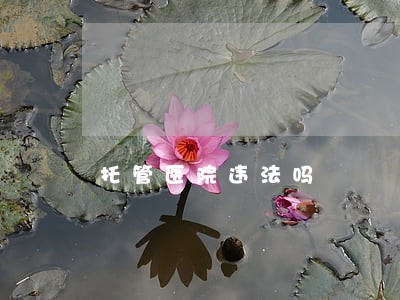 托管医院违法吗