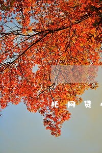 托网贷小赢易贷逾期怎么办 托网贷小赢易贷逾期怎么办