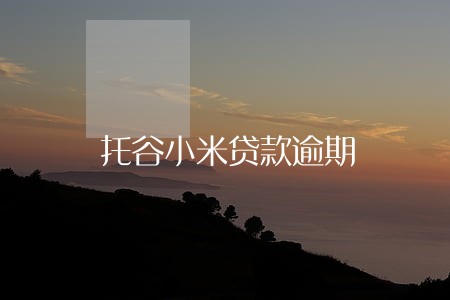 托谷小米贷款逾期 托谷小米贷款逾期