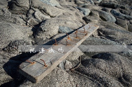 托违法吗 托违法吗