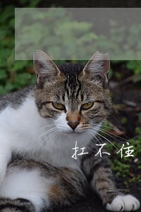 扛不住了网贷逾期 扛不住了网贷逾期