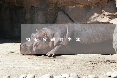 扣6分逾期半年