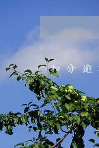 扣分逾期40天会怎么样 扣分逾期40天会怎么样