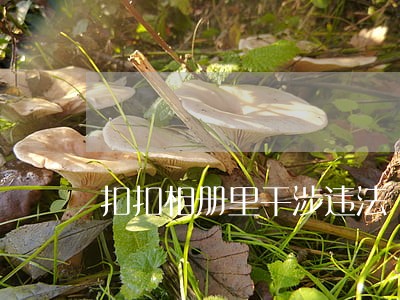 扣扣相册里干涉违法