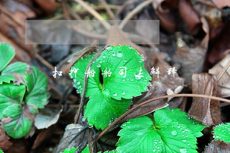 扣押船舶司法解释 扣押船舶司法解释