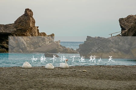 扣款卡换了逾期2天 扣款卡换了逾期2天
