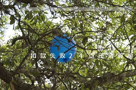 扣款失败24点还清算逾期吗 扣款失败24点还清算逾期吗