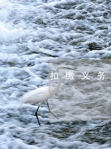 扣缴义务人税收违法 扣缴义务人税收违法