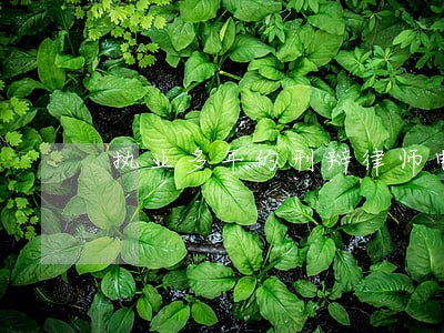 执业多年的刑辩律师电话 执业多年的刑辩律师电话