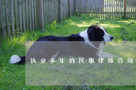 执业多年的民事律师咨询